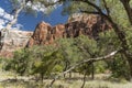 Rock Structure and trees Zion National Park Royalty Free Stock Photo